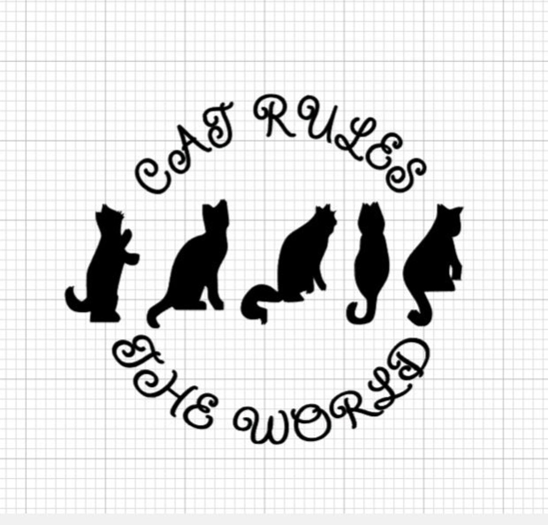 Cat Lover Svg Pet Lover Svg Crazy Cat Lady Svg Funny Cat Etsy