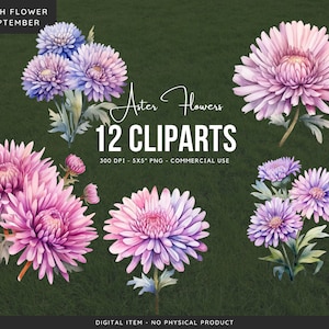 Aster Flowers PNG Clipart Bundle: September Birth Flower