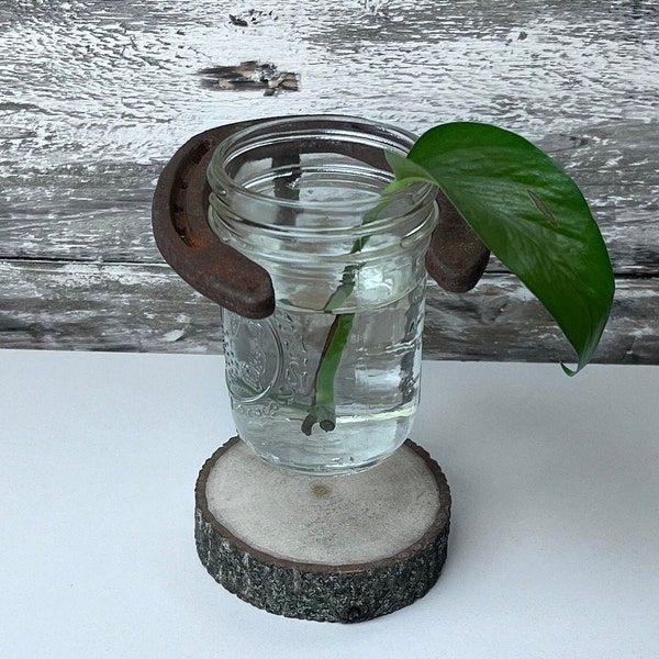 Rebar Horseshoe 1/2 pint Mason Jar Holder mounted candles, propagation station,  grow plants, cut flowers.