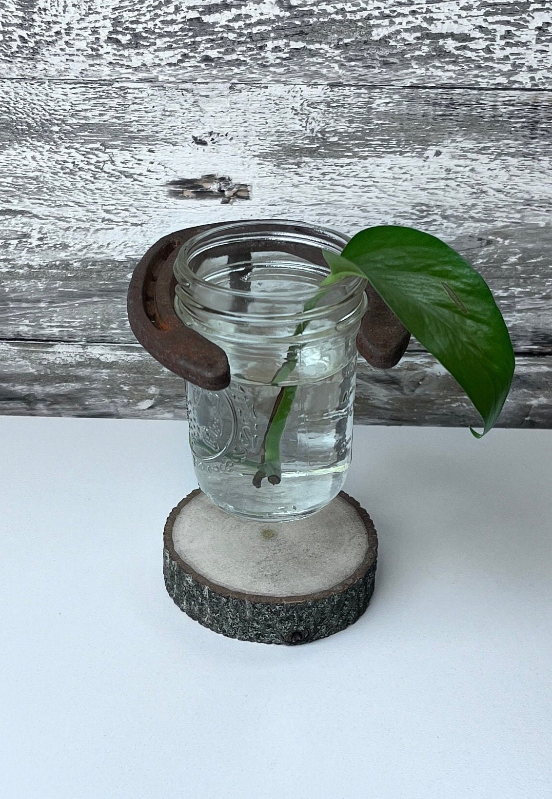 Rebar Horseshoe 1/2 pint Mason Jar Holder mounted candles, propagation station, grow plants, cut flowers.