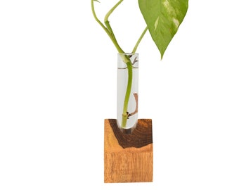 1 Glass Test Tube With Stylish Wooden Stand Without Money Plant