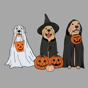 Golden Retriever Png Golden Retriever Spook Halloween Png Rick of Treat Dog Lovers Png