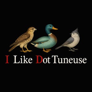 Puede incluir: Un fondo negro con tres pájaros: un pájaro marrón y blanco, un pato azul y verde y un pájaro gris. El texto "I Like Dot Tuneuse" está escrito en letras blancas con la palabra "Dot" en rojo.
