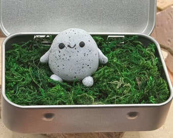 Adopt a Rock Pal in a Tin Box - Handmade Miniature Figurine - Polymer Clay Sculpture | Desk Buddy | Worry Friend  | Worry Warts Pet