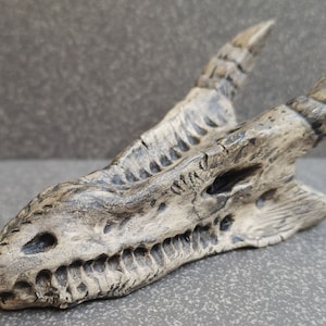 Dragon skull figurine