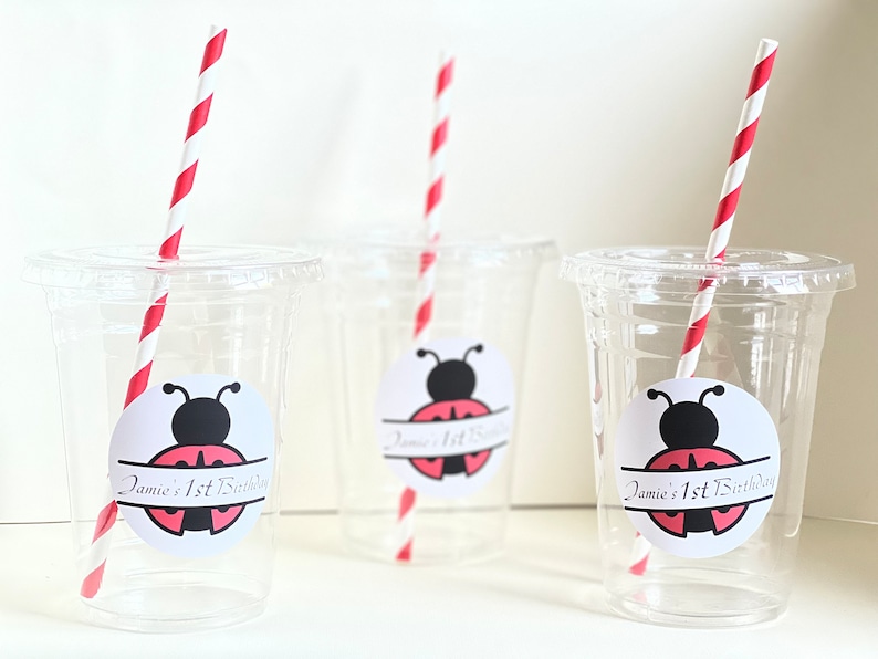 Lady Bug Party Cups - Etsy