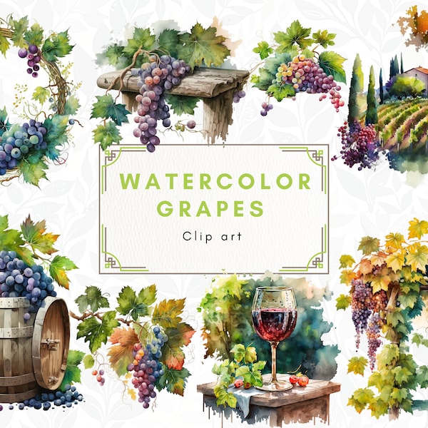 Watercolor Grapevine Clipart, Grapes, High Quality PNG, Commercial Use, Transparent background, Digital Download, Card Making, Scrapbooking