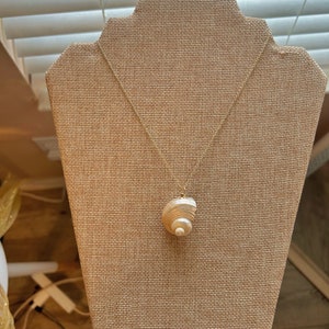 Laguna- Gold Chain Spiral Seashell Necklace