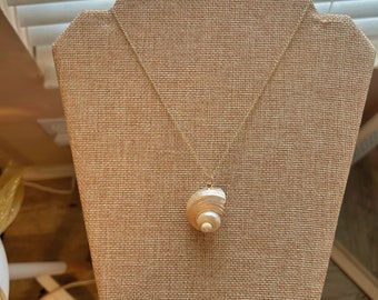 Laguna- Gold Chain Spiral Seashell Necklace