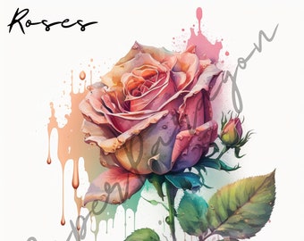 Premium Rose Watercolor Clipart Bundle - Floral Pngs, High-res Flower ...