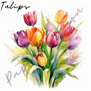 Watercolor Tulip Clipart Bundle - 20 High Quality PNG Images - Wedding Clipart, Digital Paper Craft, Card Making, Scrapbooking