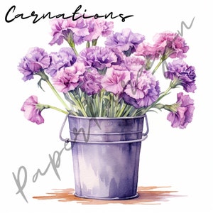 Watercolor Carnation Clipart Bundle - 20 High Quality PNG Images - Wedding Clipart, Digital Paper Craft, Card Making, Scrapbooking