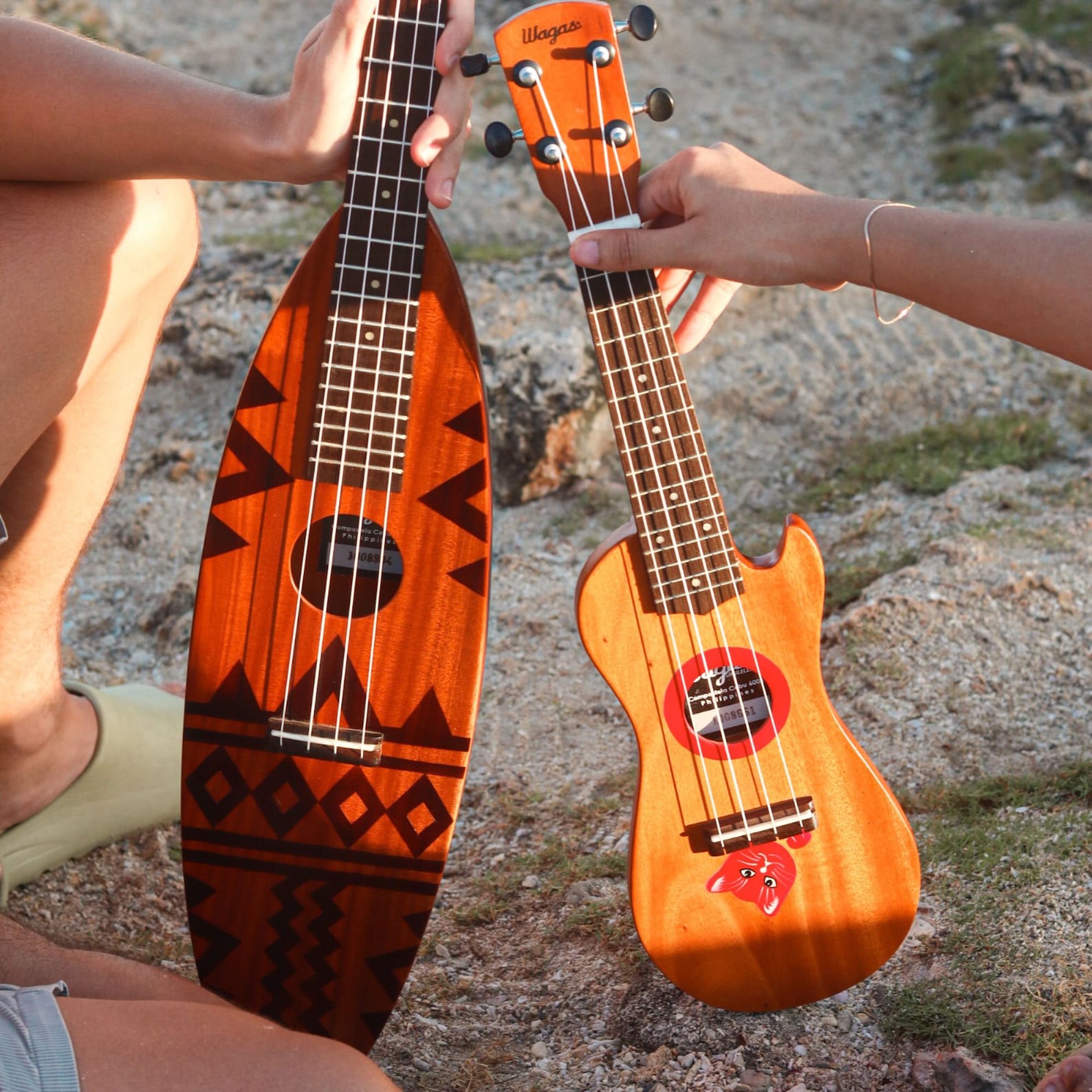 Handmade Kudyapi Ukulele - Personalized - Etsy