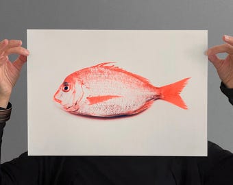 Impression riso Poisson Keiko, A3