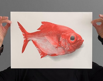 Impression riso Poisson Aki, A3