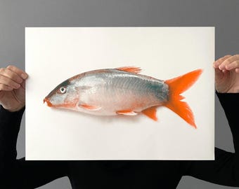 Impression riso Poisson Neko, A3