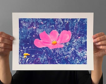 Impression Riso Cosmea, A4