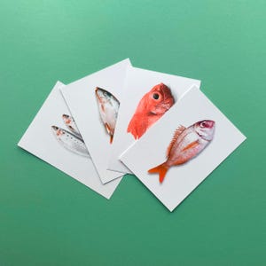 Conjunto de 4 cartões postais Riso peixe