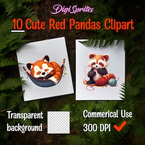 10 imágenes prediseñadas de panda rojo, panda rojo PNG, arte de panda, panda, digital, animal, uso comercial, panda lindo, imágenes prediseñadas de bosque, gráficos lindos, arte mural
