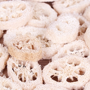 May include: A close-up of a pile of natural loofah sponges, a popular bath and body product. The loofahs are light brown and have a textured, woven appearance.