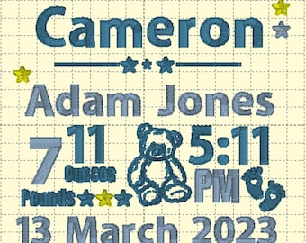 Baby Birth Stats Embroidery Design Template (Instant Download)
