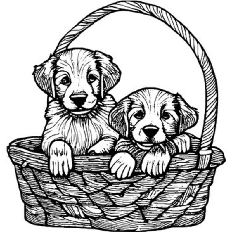Golden Retriever Color Page Digital Download. - Etsy