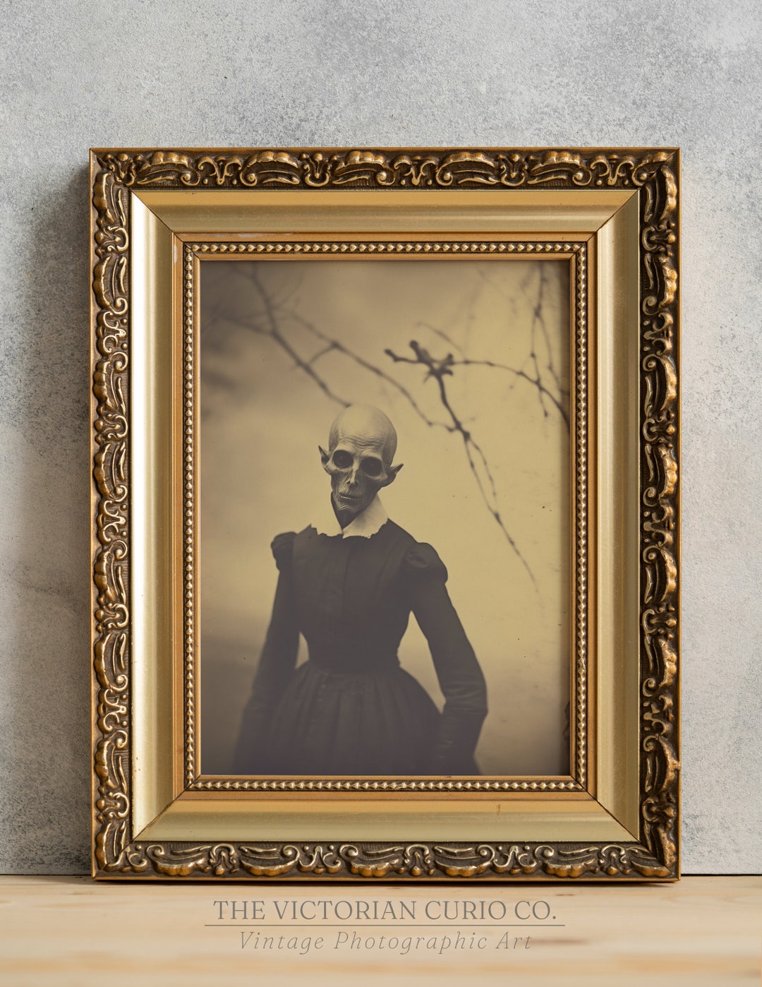 Gothic Ghoul in Dress, PRINTABLE Vintage Photograph, Dark Academia Art ...