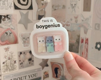 This is boygenius sticker | cute sticker | aesthetic sticker | trendy sticker | laptop decal | downtown girl | water bottle sticker|coquette
