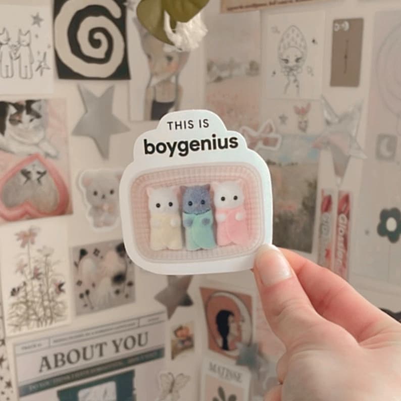 May include: A white sticker with the text "This is boygenius" and a picture of three fuzzy, pastel-colored kittens in a basket.