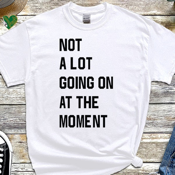 Not A Lot Going on at the Moment Tshirt, Live Concert  Women Adult Shirt, Anyway We are Never Getting Back Together tee, Gift For her, TL1