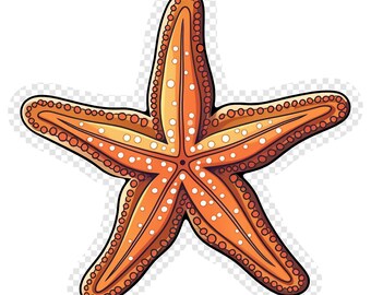 Starfish Transparent PNG Clipart for Sticker Design Asset