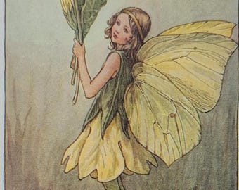 Vintage Blomsterfétryck av Cicely Mary Barker (1885-1977) - Primulafén