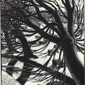 Gwen Raverat (1885-1951) Wood engraved book illustration published in 1959 titled &quot;The Fen.&quot;