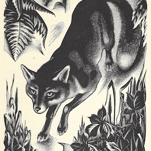 Agnes Miller Parker (britisch 1895-1980) Holzgravierte Illustration aus Durch den Wald veröffentlicht 1936 - Fuchs
