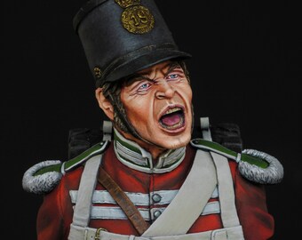 Privado 19º Regimiento de Foot Crimea 1854 / The Green Howards / busto de escala 1/8 / pintado a mano / miniatura / hecho en el Reino Unido