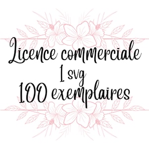 Licenza commerciale 100 copie per un SVG