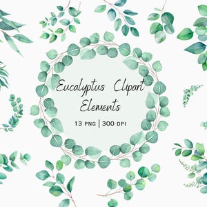 Watercolor Eucalyptus Clipart, Eucalyptus Png, Greenery Clipart, Eucalyptus Wreath, Eucalyptus Leaves, Wedding invitation, Digital Download