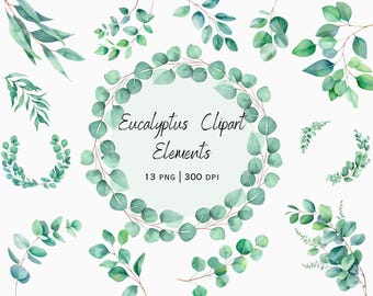 Watercolor Eucalyptus Clipart: Greenery Wreath PNG (Digital Download)