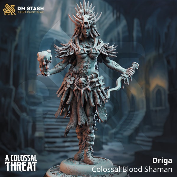 Driga - Colossal Blood Shaman - 8K HD 3D Resin Mini- DM Stash - DnD Mini