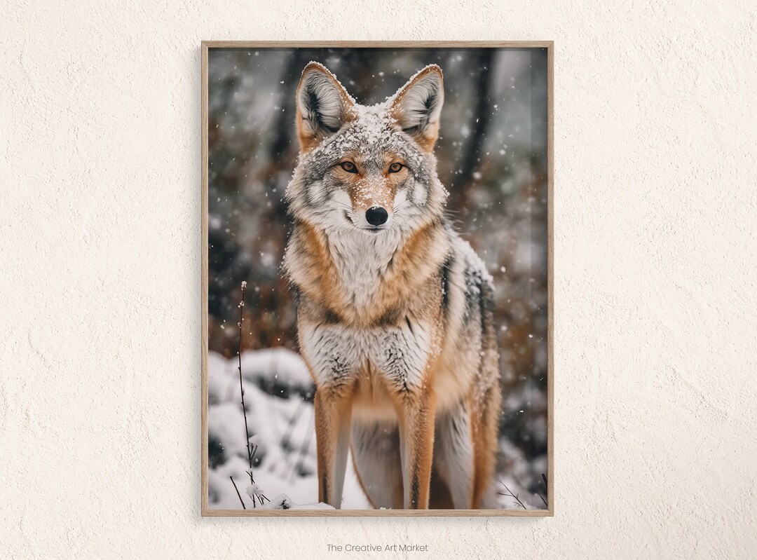 Coyote Poster Wildlife Wall Art Coyote Wall Decor Wildlife Etsy