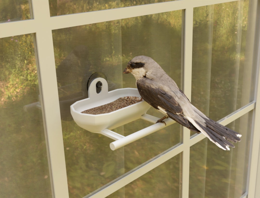 Bird Feeder With Suction Cup Window Feeder for Birds Etsy