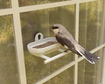 Mangeoire pour oiseaux avec ventouse