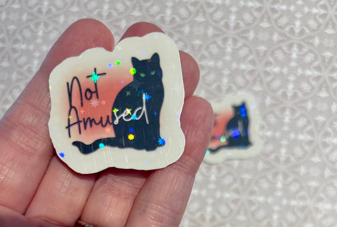 Unamused Kitty Sticker, Funny Cat Sticker, Grumpy Cat, Cute Sticker - Etsy