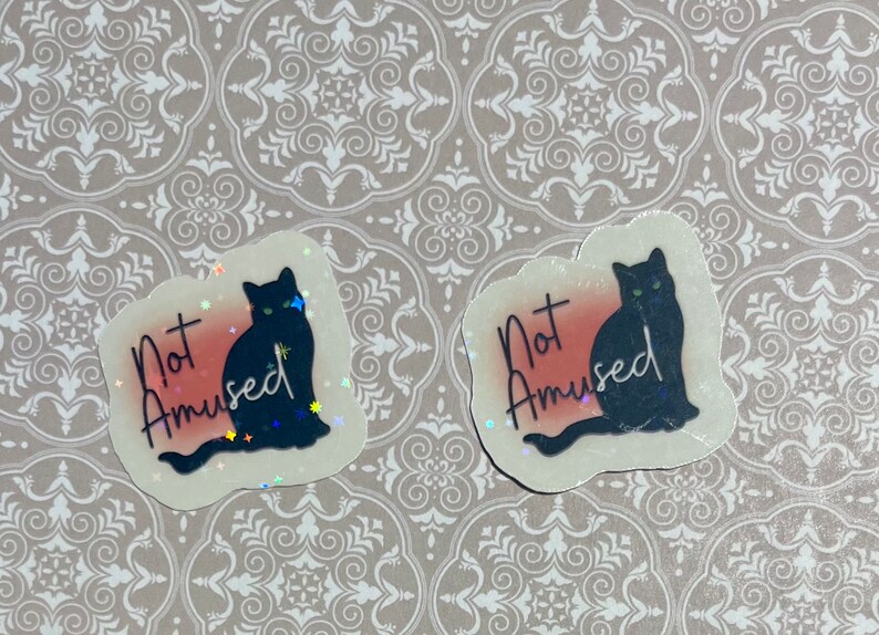 Unamused Kitty Sticker, Funny Cat Sticker, Grumpy Cat, Cute Sticker - Etsy
