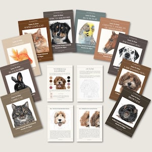 May include: A selection of "Learn to Draw" books with animal illustrations. The covers display detailed drawings of a Maine Coon cat, American Shepherd, Blue Budgie, Chestnut American Quarter Horse, Dalmatian Dog, Goldfish, Black Rabbit, Tabby Cat, Labradoodle Dog, and Brown Rat.