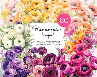 Ranunculus Bouquet Clipart Bundle PNG Flower Bunch Clip Art Watercolor Flower Clipart Ranunculus Stem Wedding Florals Commercial Use