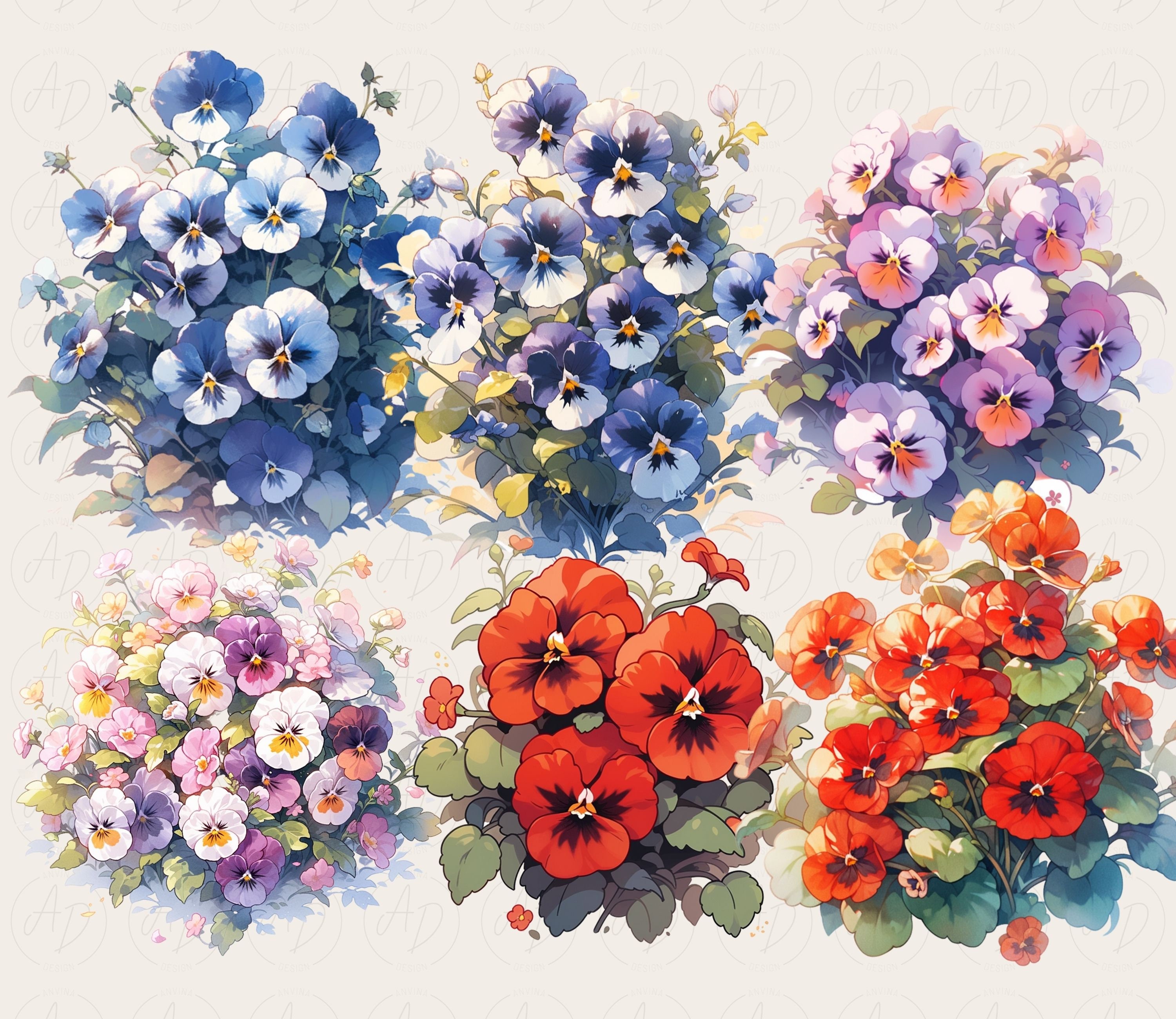 Pansy Display Pansy Clipart Bundle: Floral Bouquet PNG Graphics (commercial Use) - Etsy