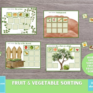 May include: A printable educational game for kids to learn about where fruits and vegetables grow. The game includes four cards with illustrations of different plants and a list of fruits and vegetables that grow on a vine, underground, on top of the ground, and on a tree or bush. The game also includes a set of cards with pictures of different fruits and vegetables.