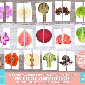 Nature Symmetry Puzzles, Printable Flower Matching Cards, Fruits Slices Matching Cards, Vegetable Matching Cards, Pattern Games