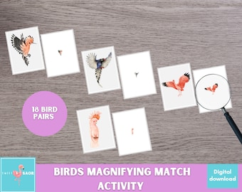 Bird Magnifying Match Game: Montessori Preschool Activity (Digital Download)